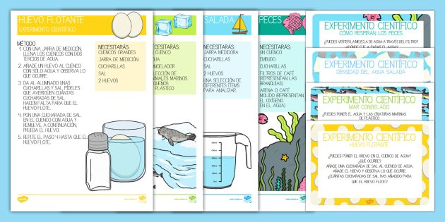 Ciencias Naturales y Educación Ambiental: aprendiendo a cuidar la vida y la creación